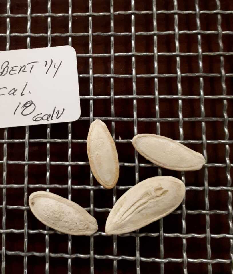 telas de alambre para filtrar